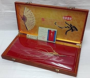 Amazon.co.jp: 最高級高麗人参 長白山野山参 国家指定鑑定書木箱付